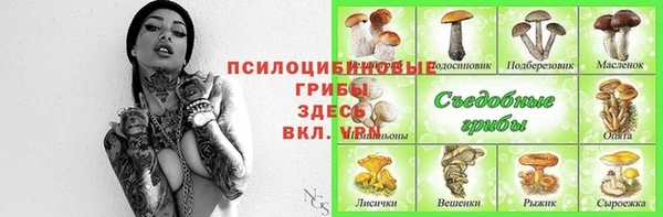ешки Алзамай