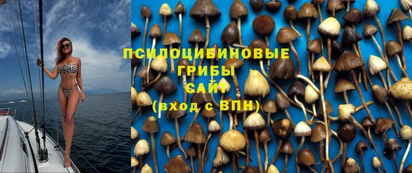 бошки Алексин
