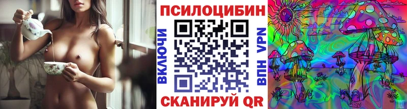 купить наркоту  Аркадак  Псилоцибиновые грибы GOLDEN TEACHER 